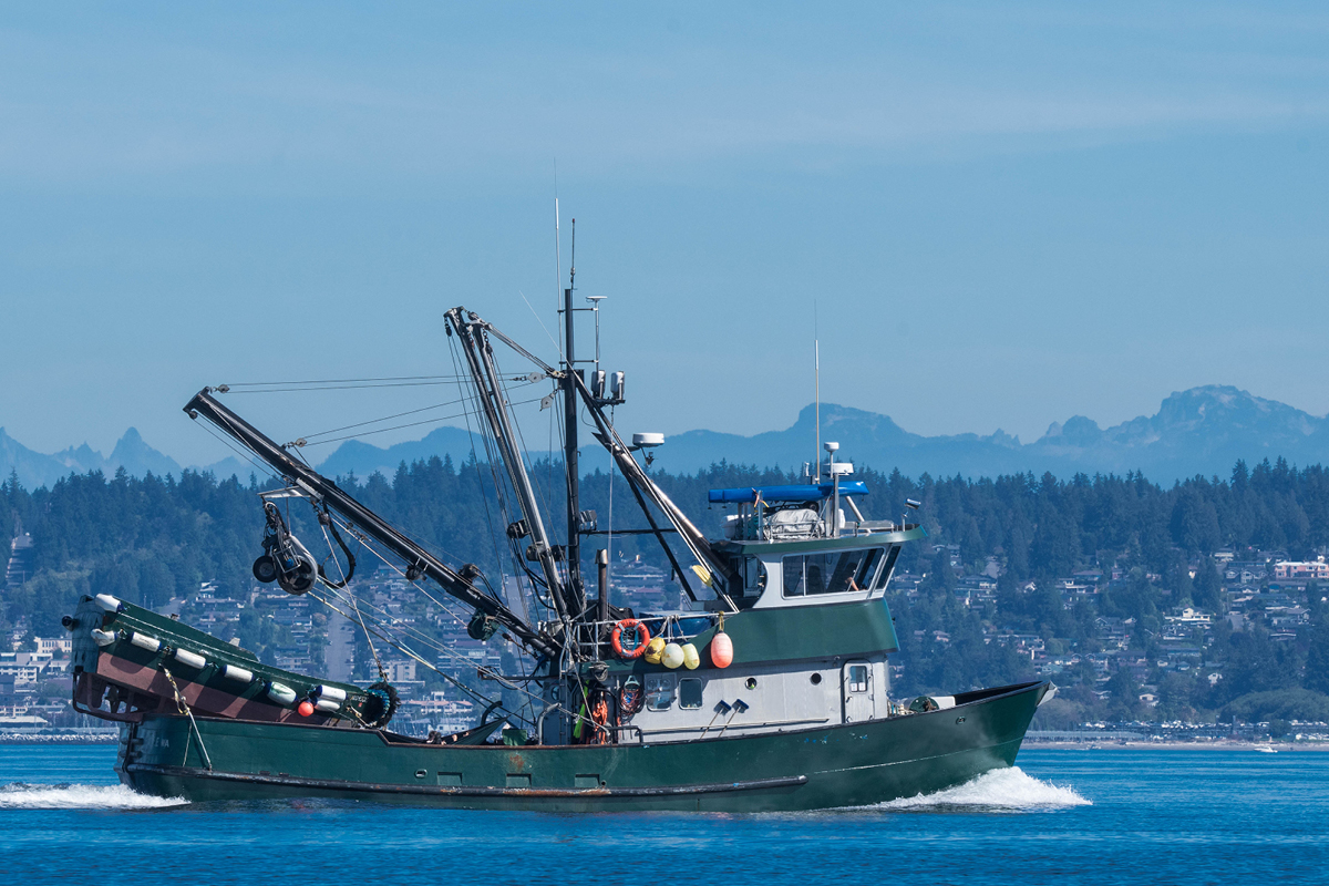 Commercial Fishing Boat in a harbor